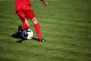 -篮球运动员心理素质测评体系构建，篮球运动员心理素质的重要性