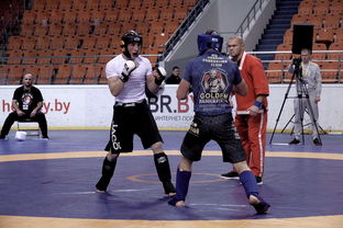 九游下载安装-搏击台上竞技水平持续提高，搏击台上竞技水平持续提高怎么办