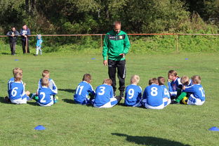 九游sports-欧洲杯逆转奇迹：战术配合与个人能力的完美呈现，欧洲杯逆天进球